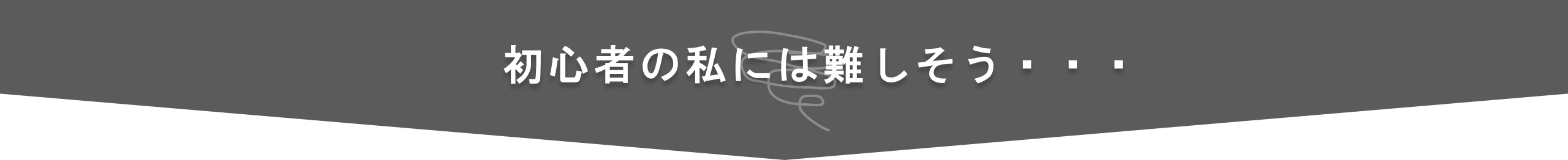 初心者の私には難しそう・・・